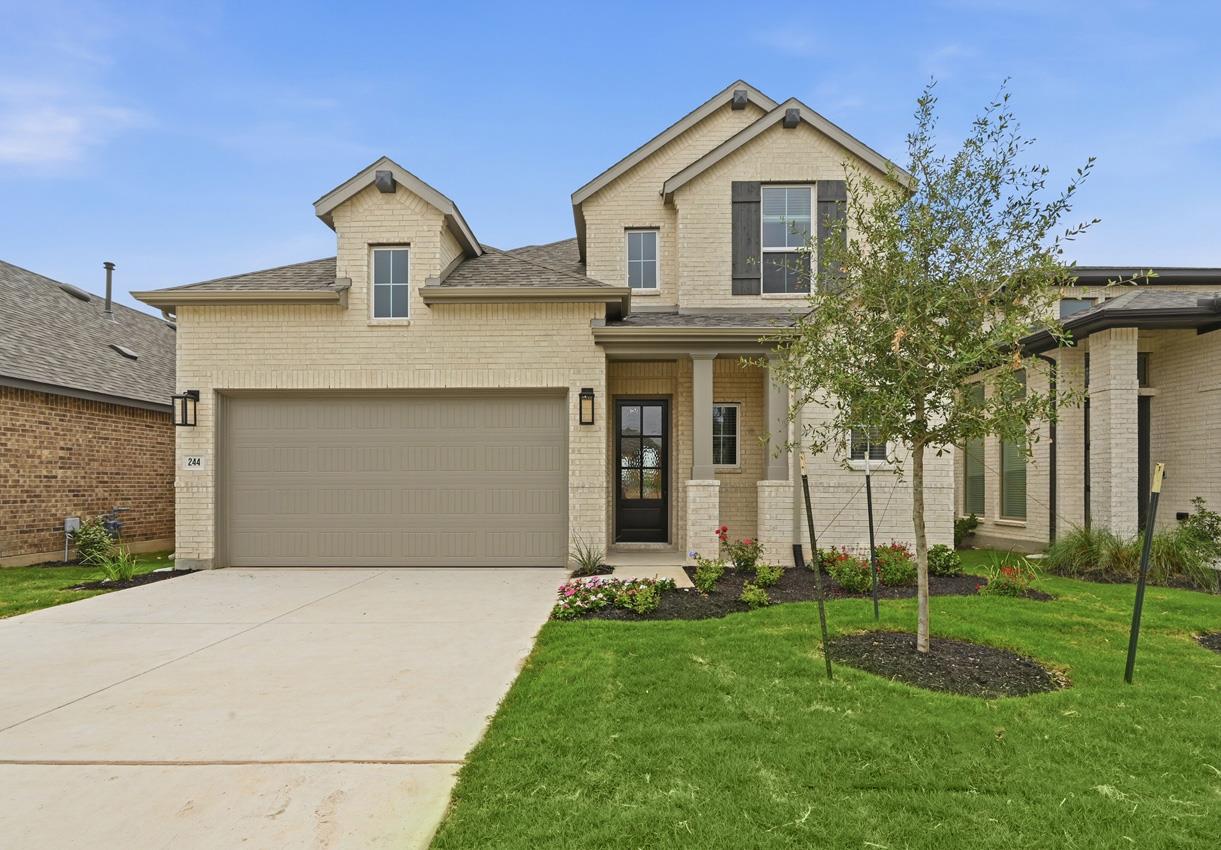 244  Basket Flower Loop in Kyle