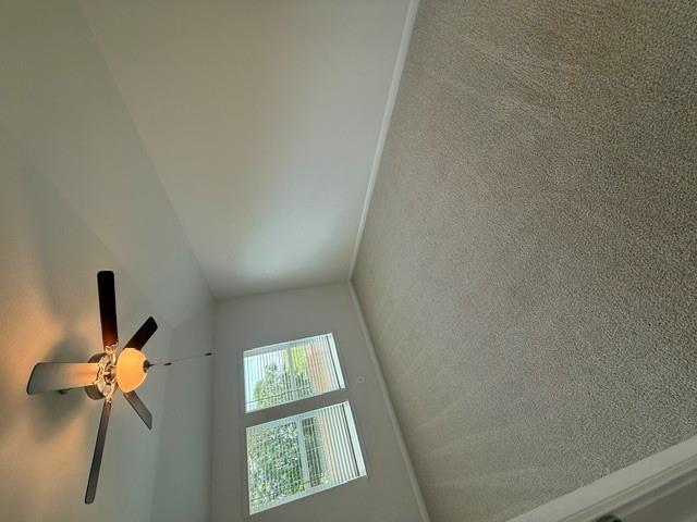 Home photo 7