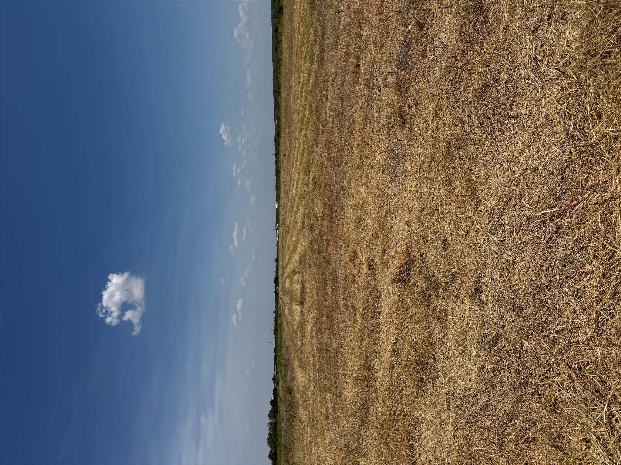 Home photo 6