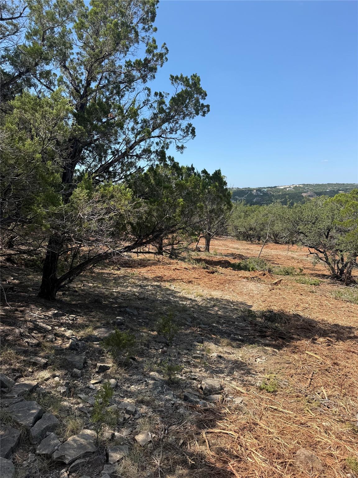 Home photo 19
