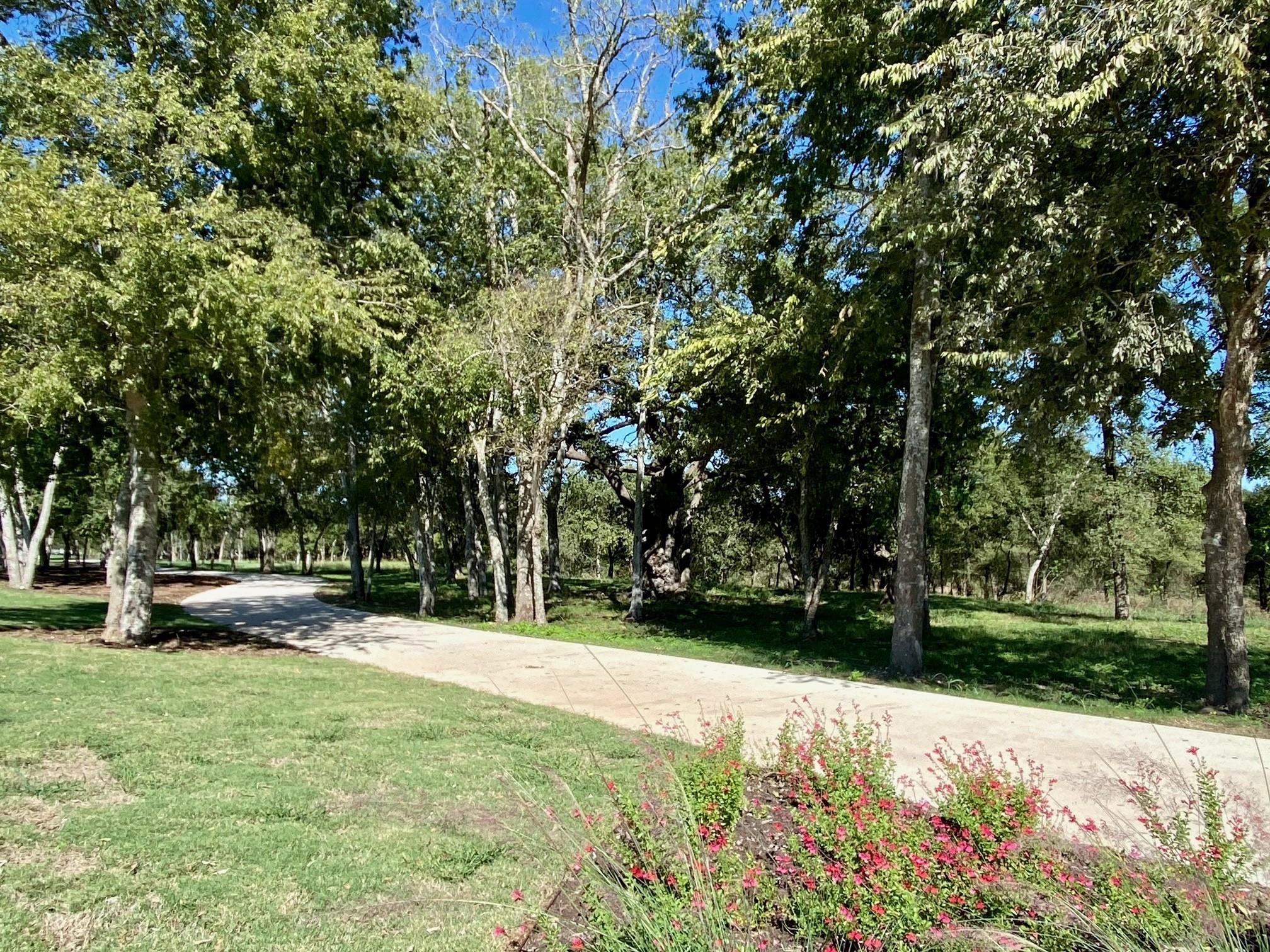 Home photo 12